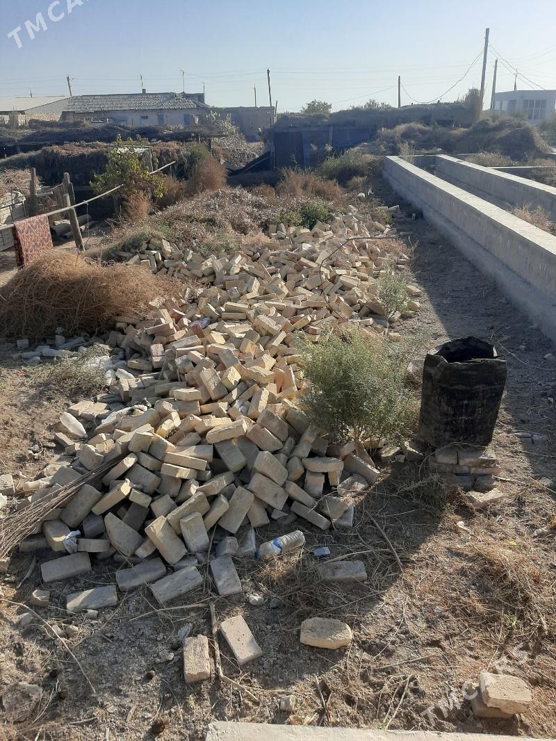 SATLYK JAY - Türkmenabat - img 4