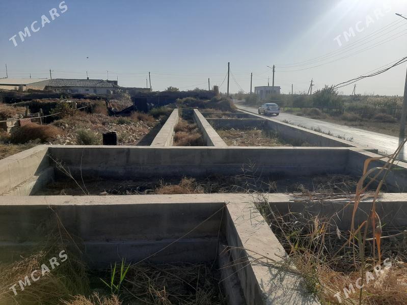 SATLYK JAY - Türkmenabat - img 5