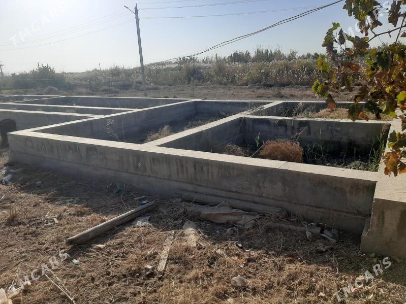 SATLYK JAY - Türkmenabat - img 7