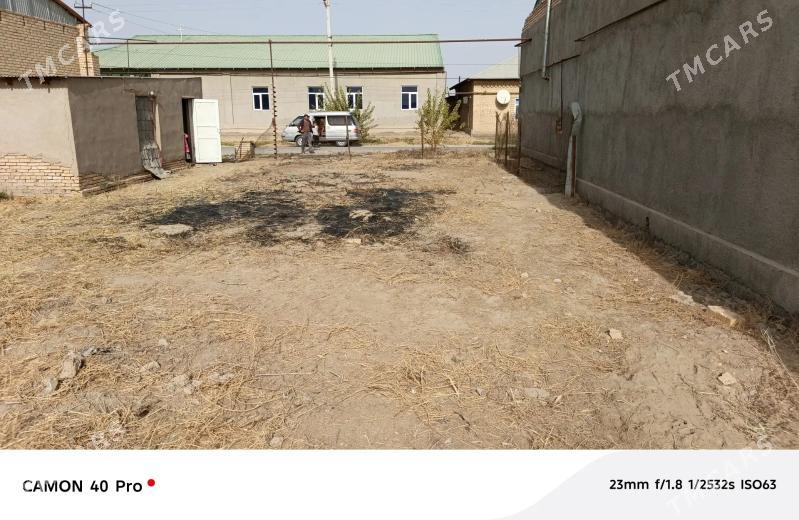 Mellek - Dänew - img 5