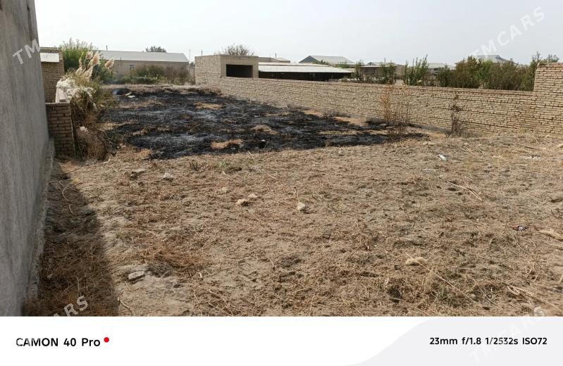 Mellek - Dänew - img 3