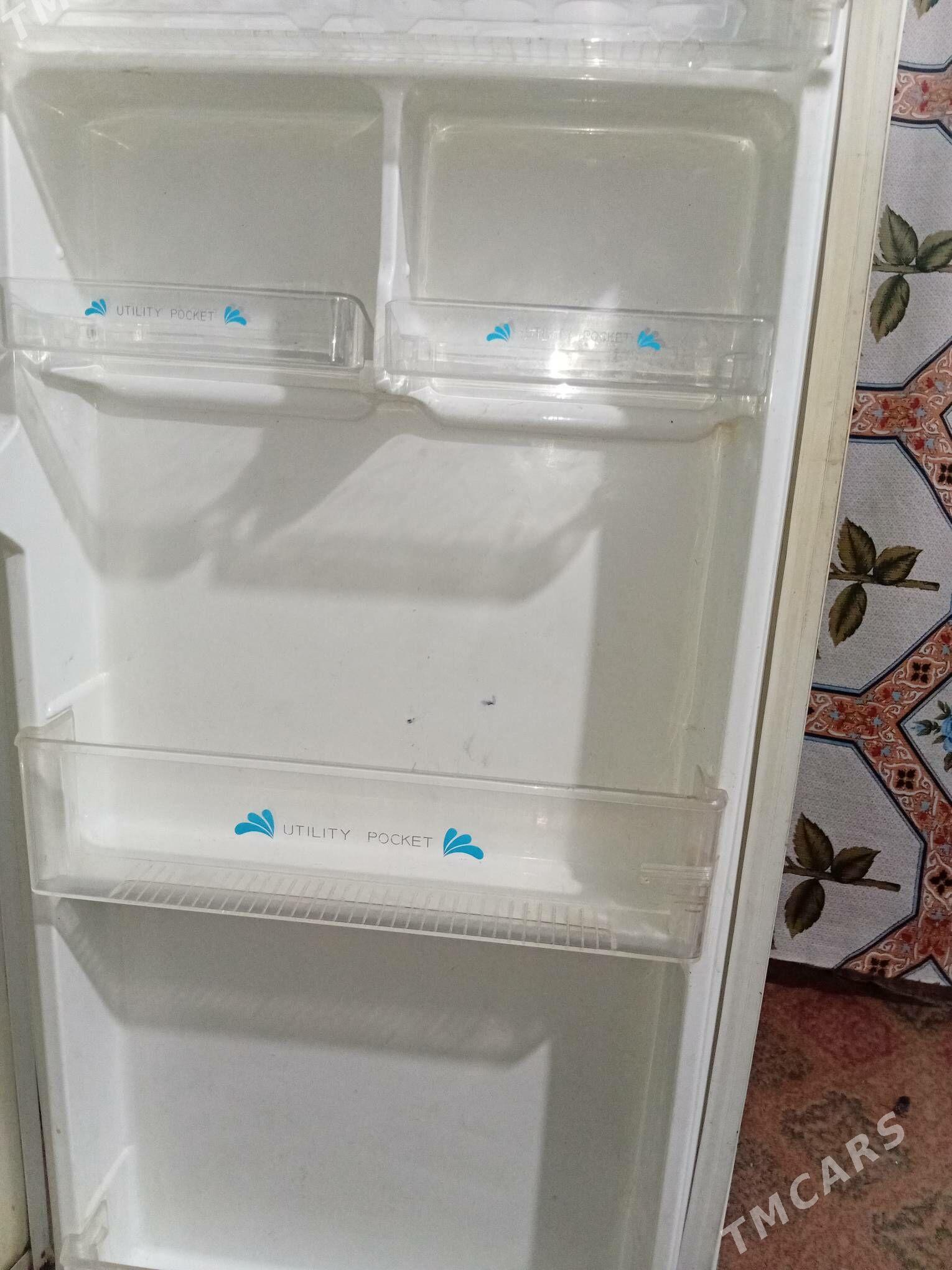 holodinlik - Murgap - img 2