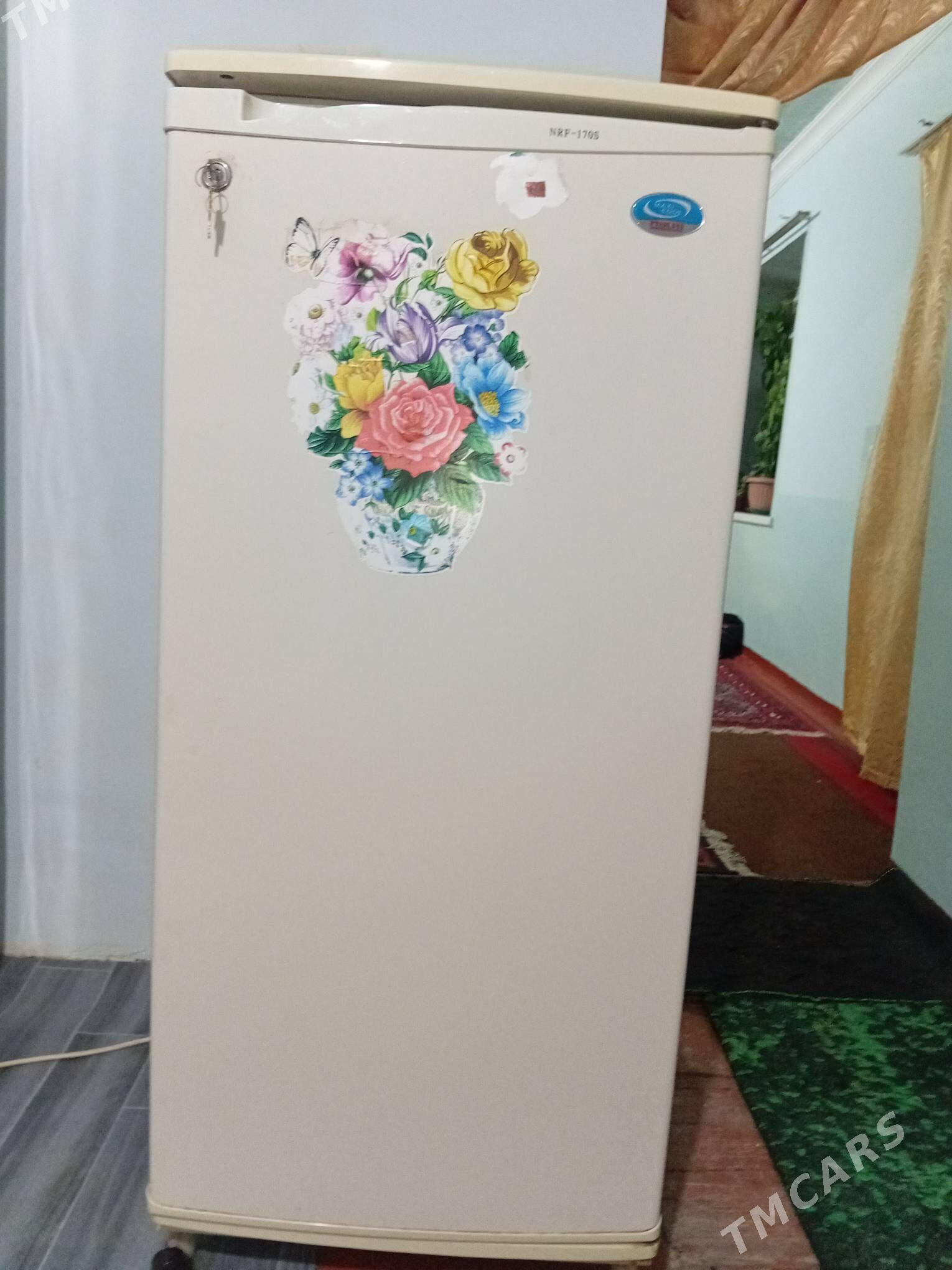 holodinlik - Murgap - img 3