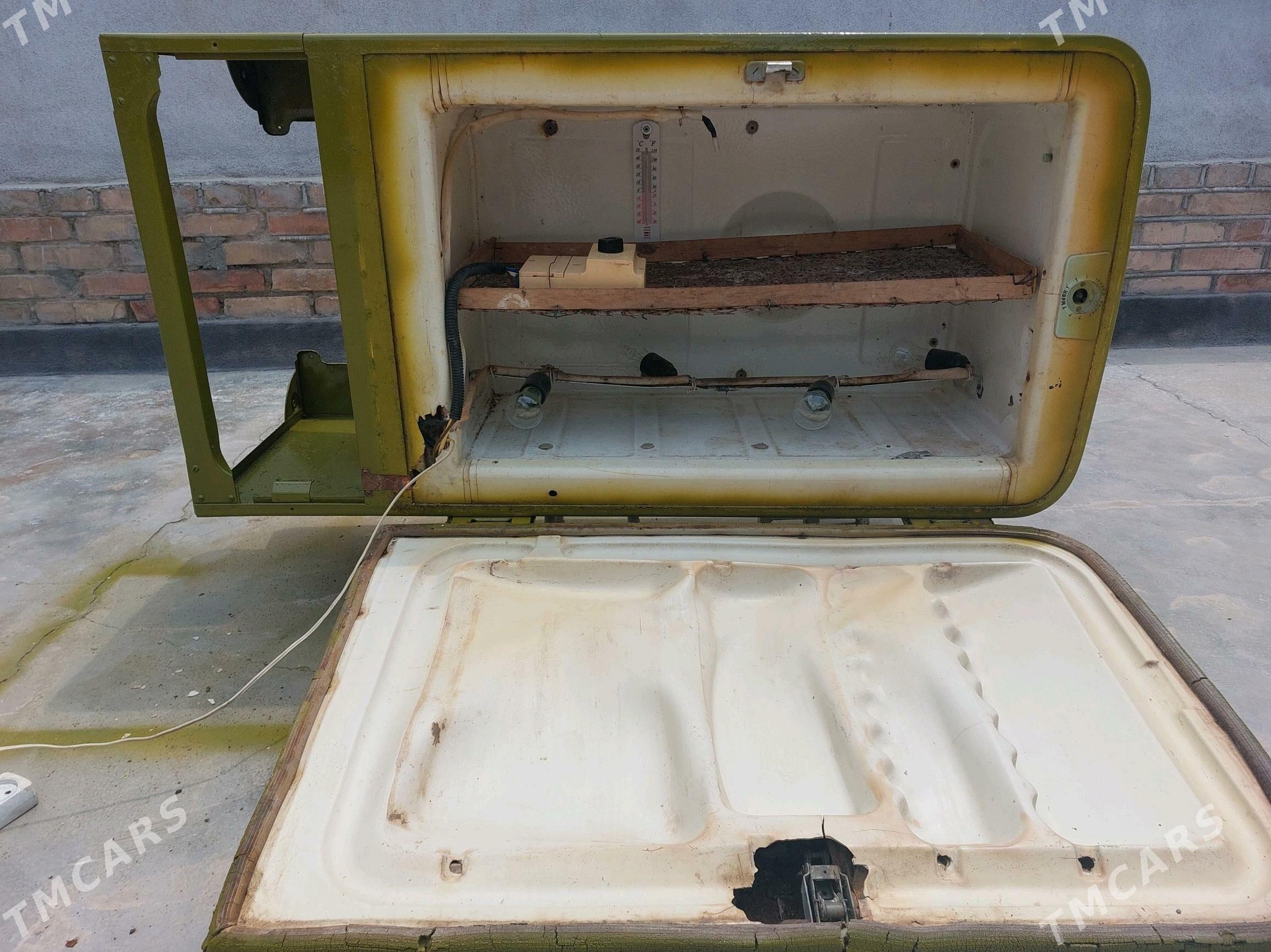 Инкубатор - Анев - img 2