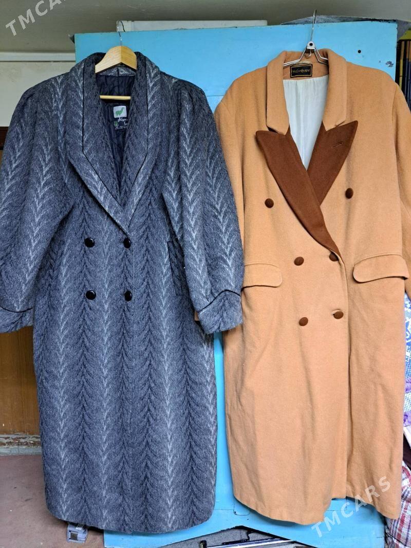 Palto - Досааф - img 1