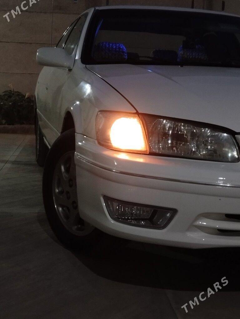 Toyota Camry 2001 - 140 000 TMT - Sakarçäge - img 5