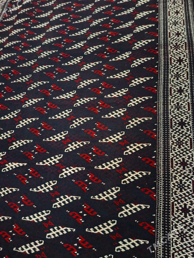 Gara haly - Balkanabat - img 3