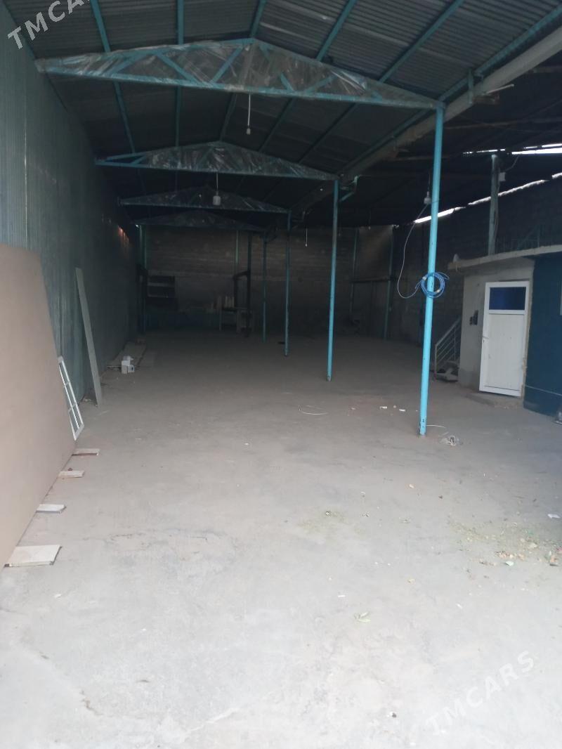 Arenda akalaArenda sklat - Bedew - img 3