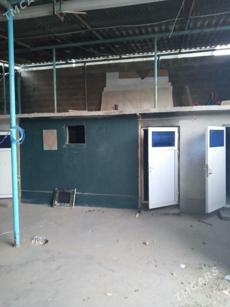 Arenda akalaArenda sklat - Bedew - img 2