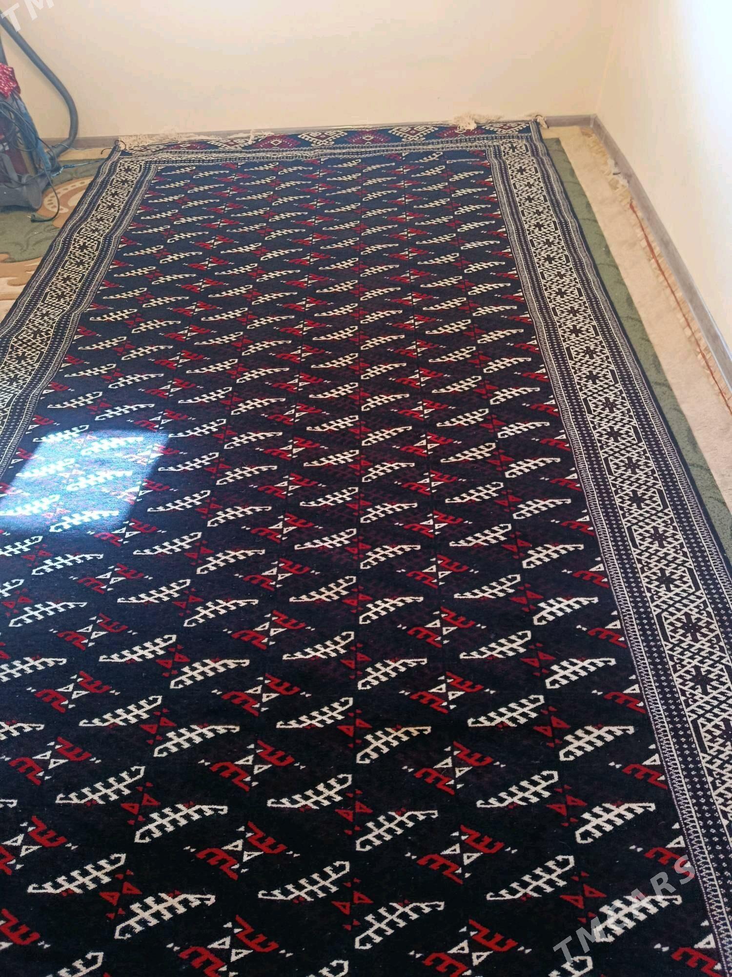 gara haly - Balkanabat - img 2