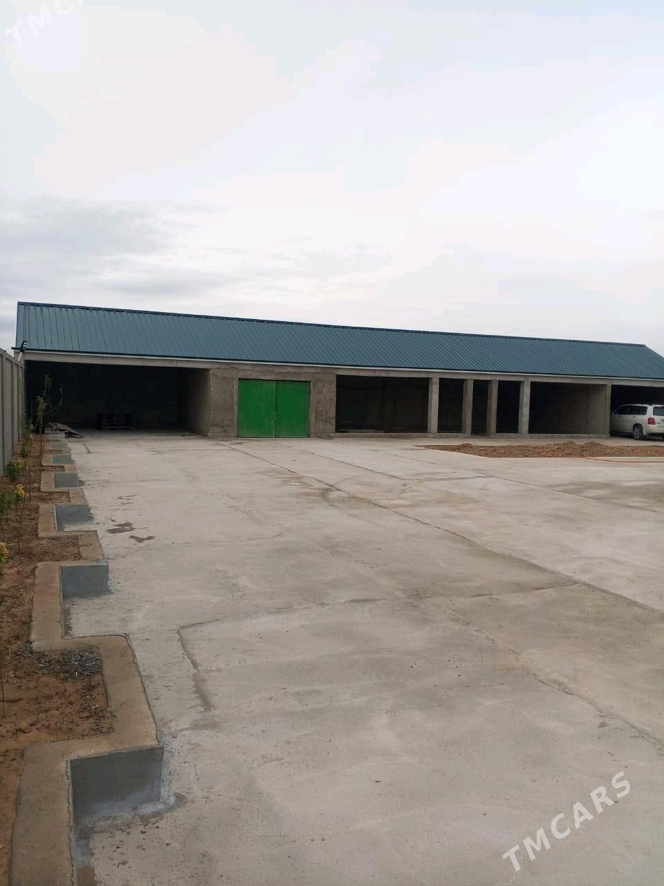 onaldy - Ak bugdaý etraby - img 6