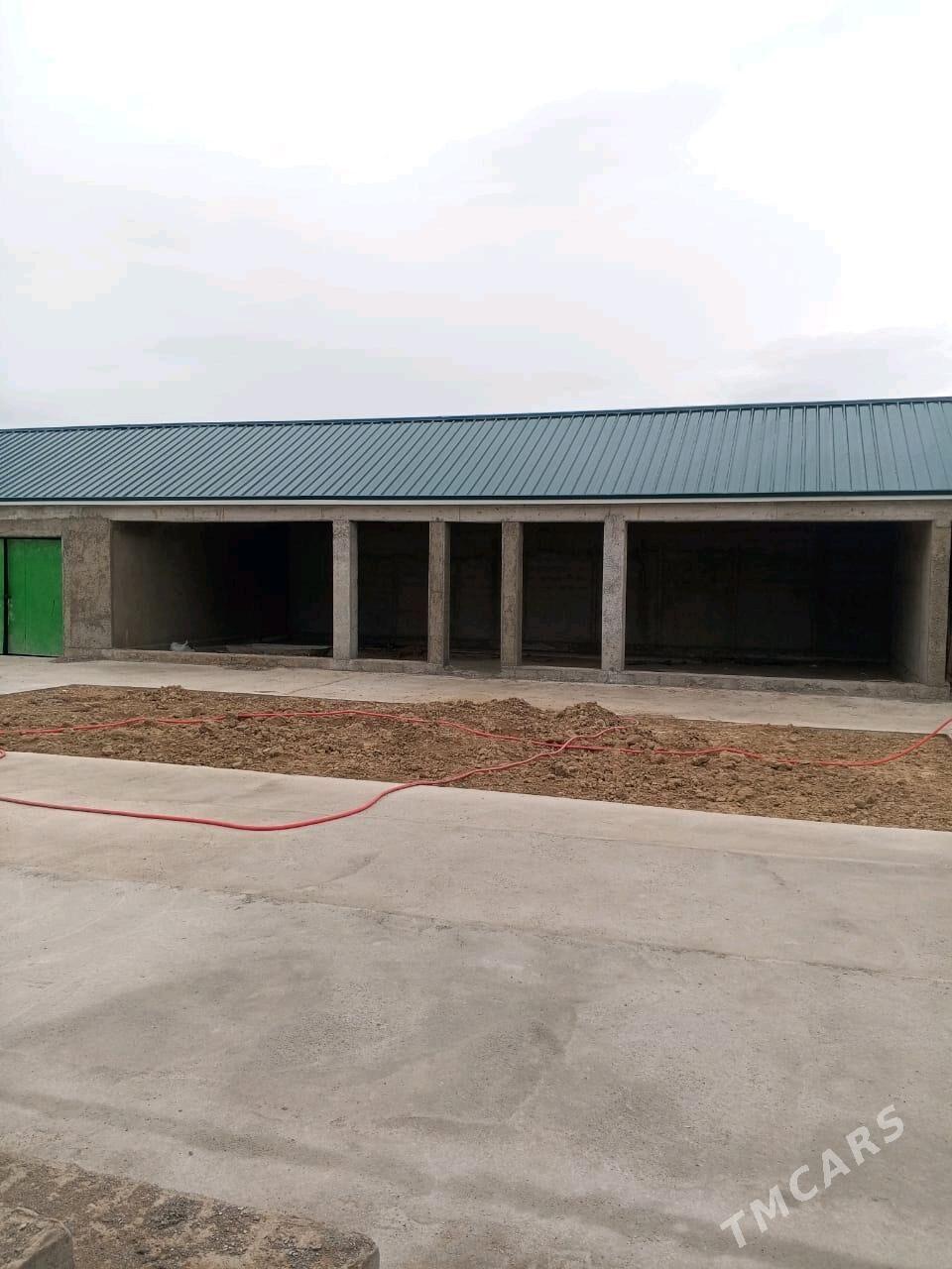 onaldy - Ak bugdaý etraby - img 7