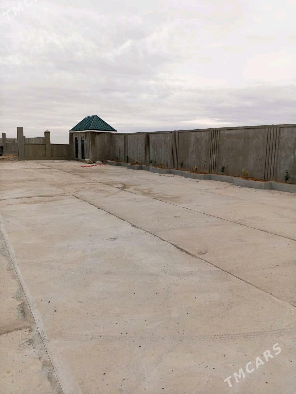 onaldy - Ak bugdaý etraby - img 5