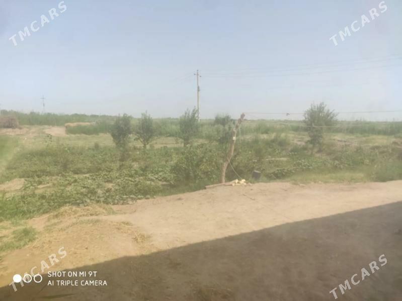 danew 16 sotok mellek - Дянев - img 3