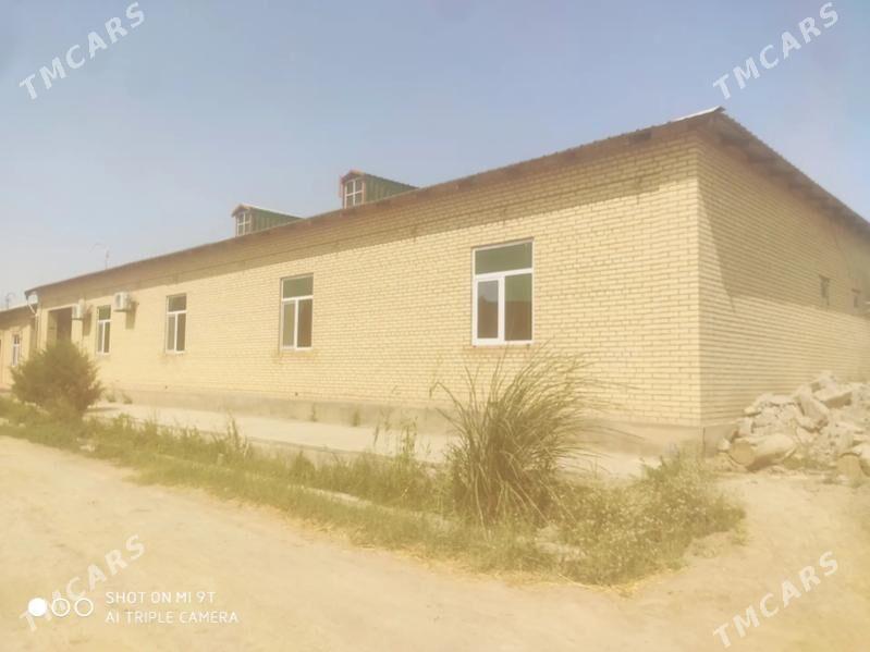 danew 16 sotok mellek - Дянев - img 2