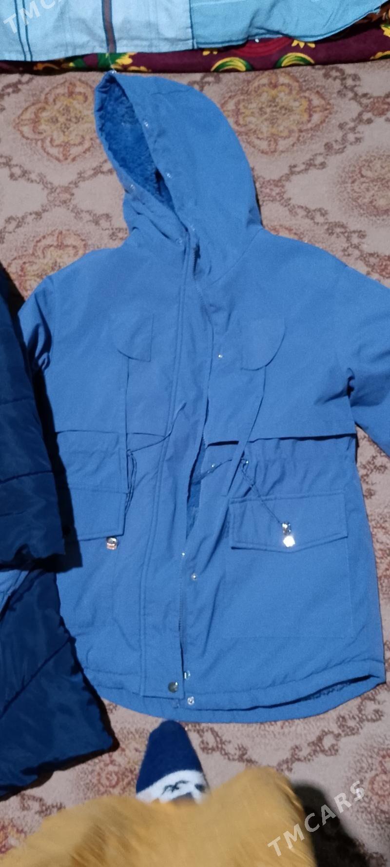 kurtkalar - Daşoguz - img 1