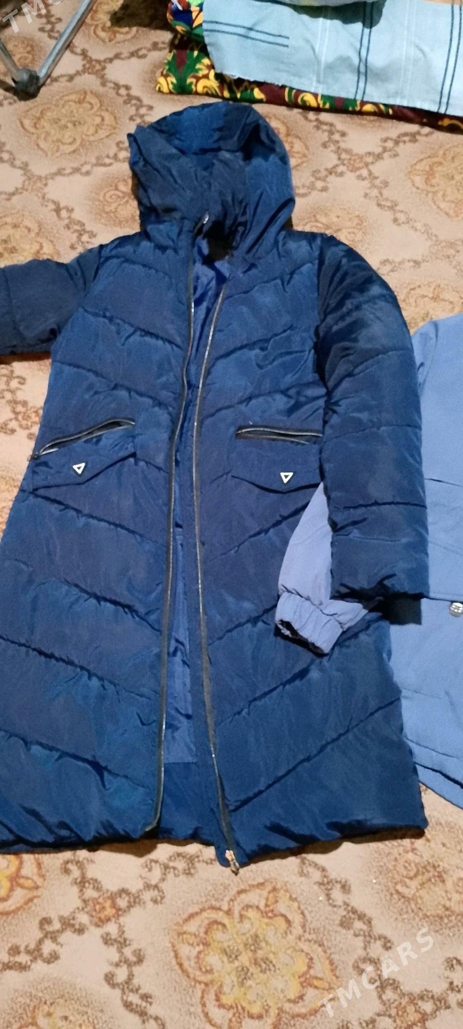 kurtkalar - Daşoguz - img 2