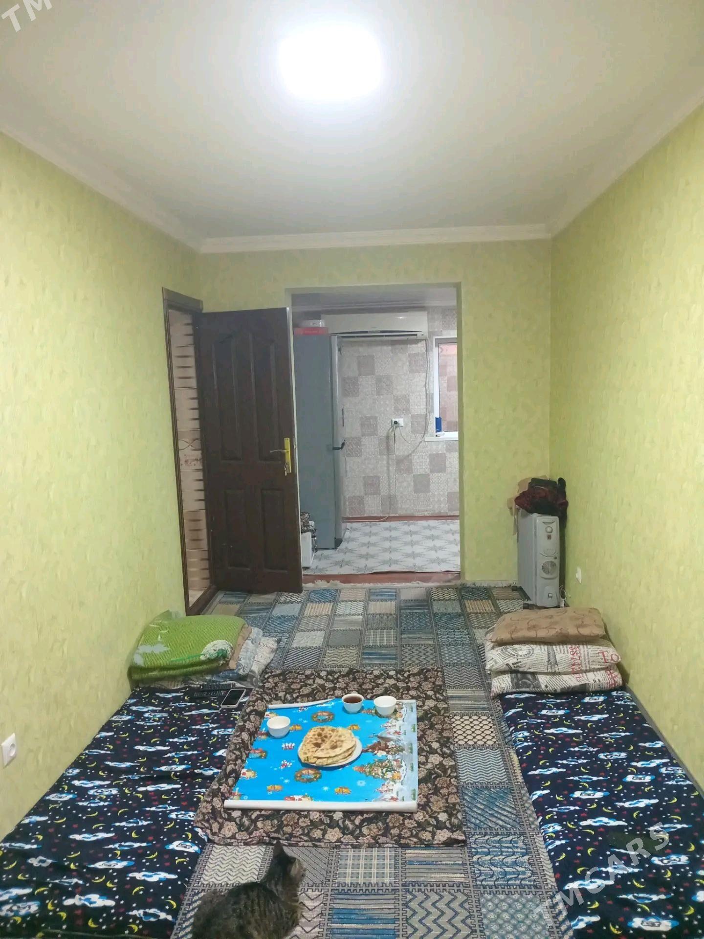 Satlyk jay - Мары - img 7