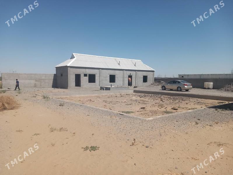 Satlyk jay - Büzmeýin - img 3