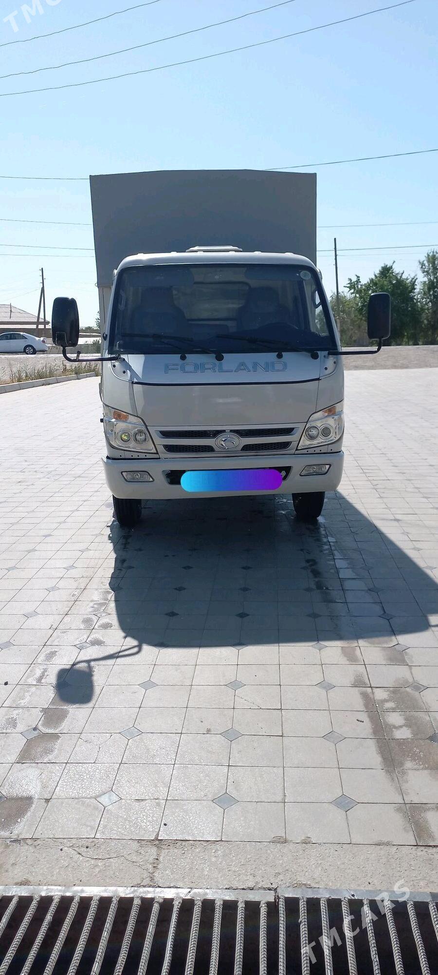 Forland H3 2013 - 160 000 TMT - Mary - img 1