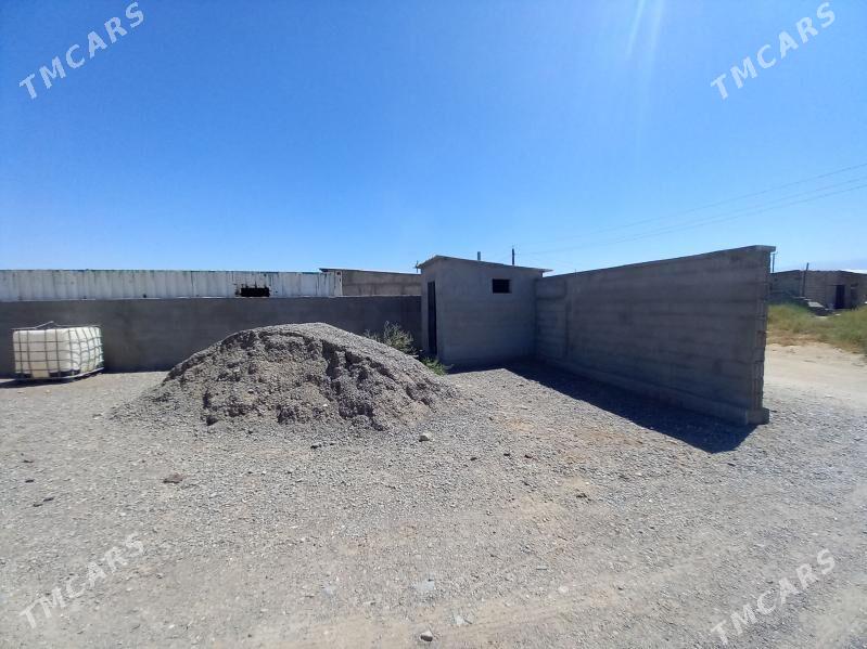 Satlyk jay - Büzmeýin - img 4