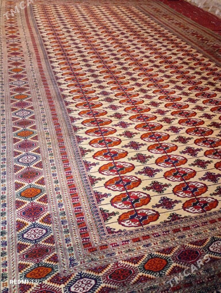 el haly - Ашхабад - img 1