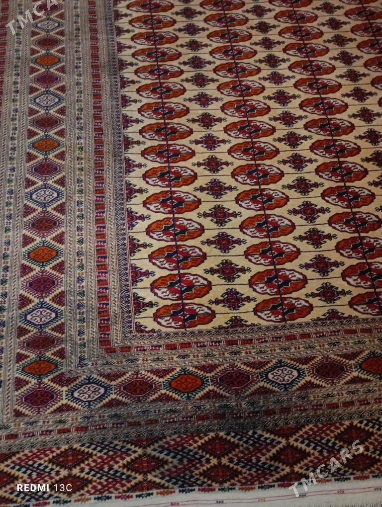 el haly - Ашхабад - img 2