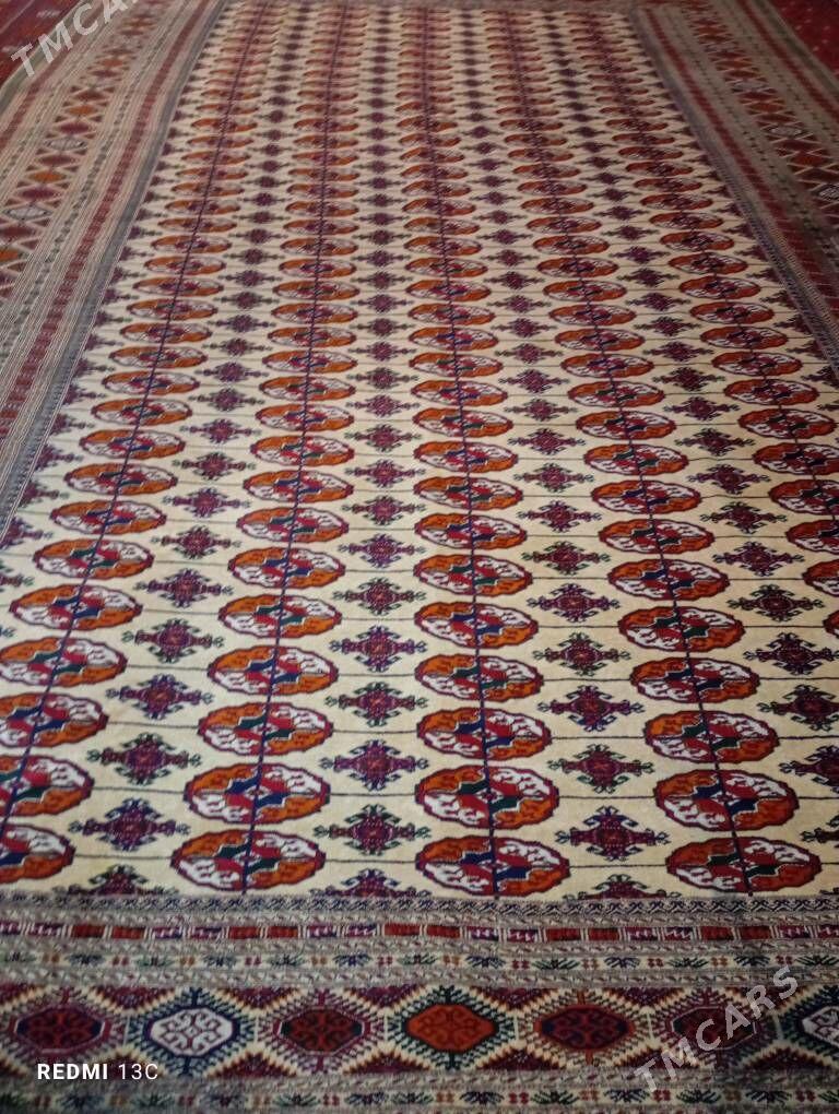 el haly - Ашхабад - img 3