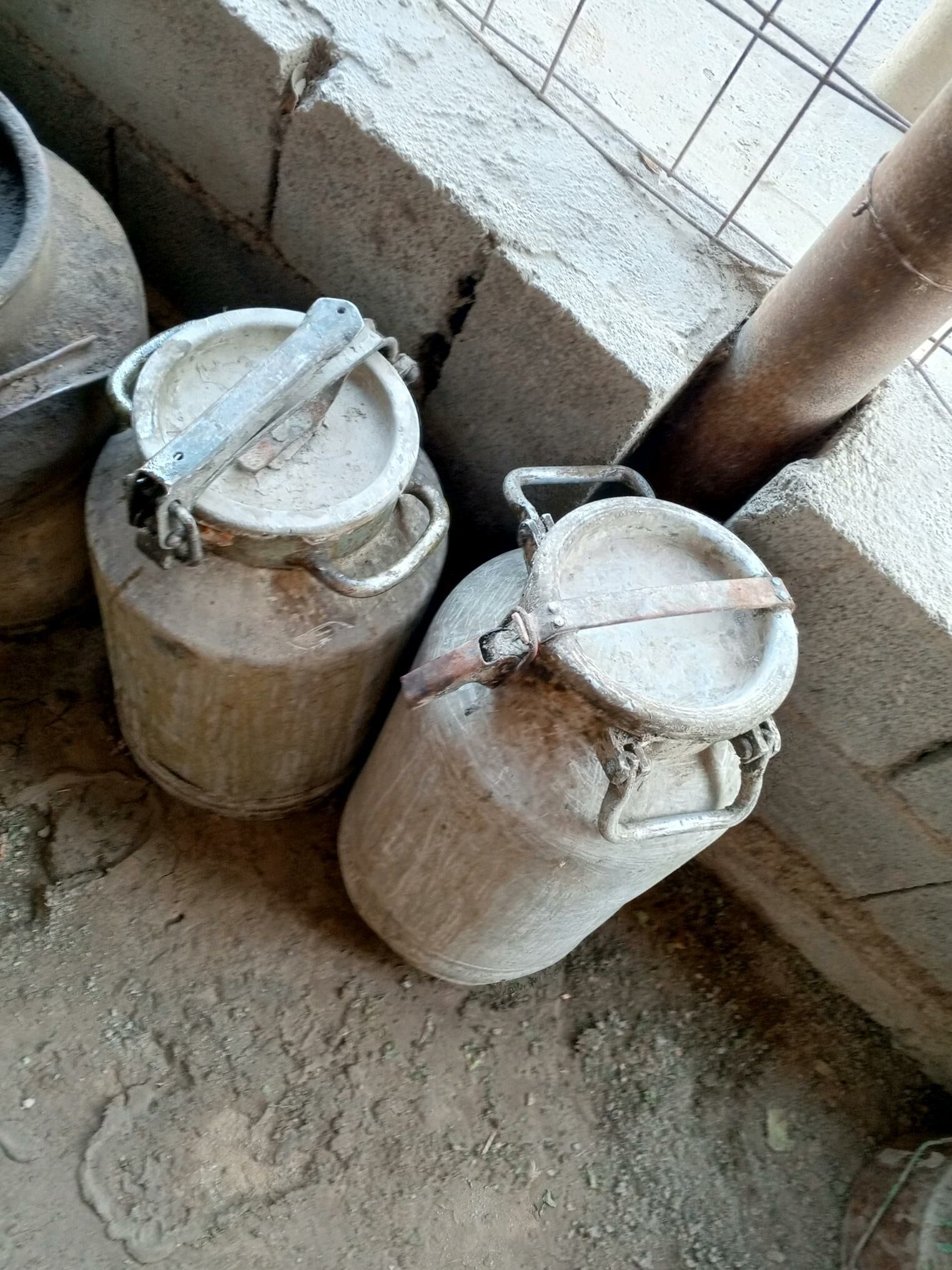 Alumin pilyak - Büzmeýin - img 2