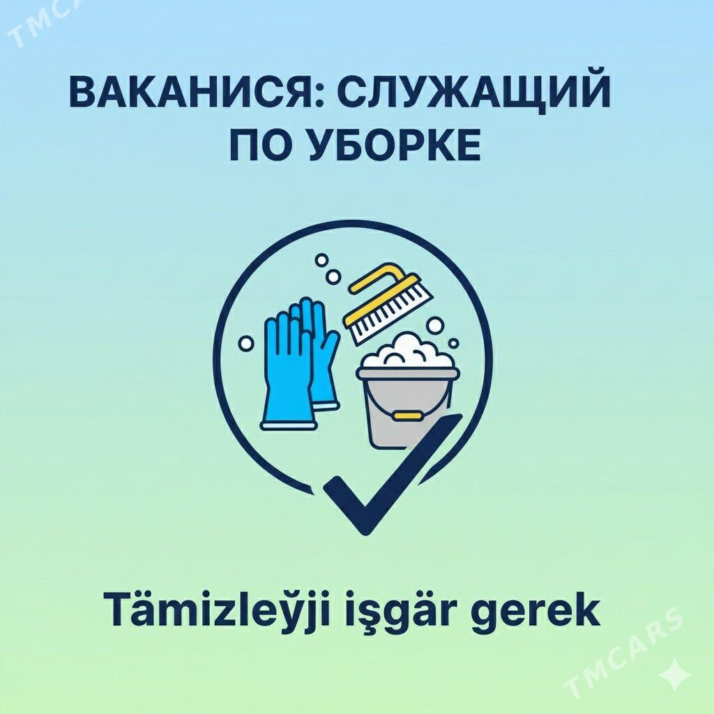 Işgär gerek Tämizleýji - Мары - img 1