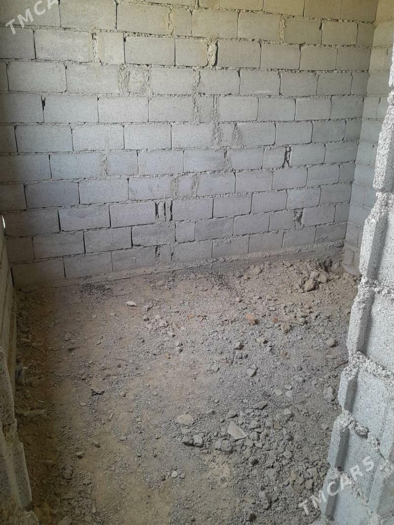 Arcman jay - Bäherden - img 3