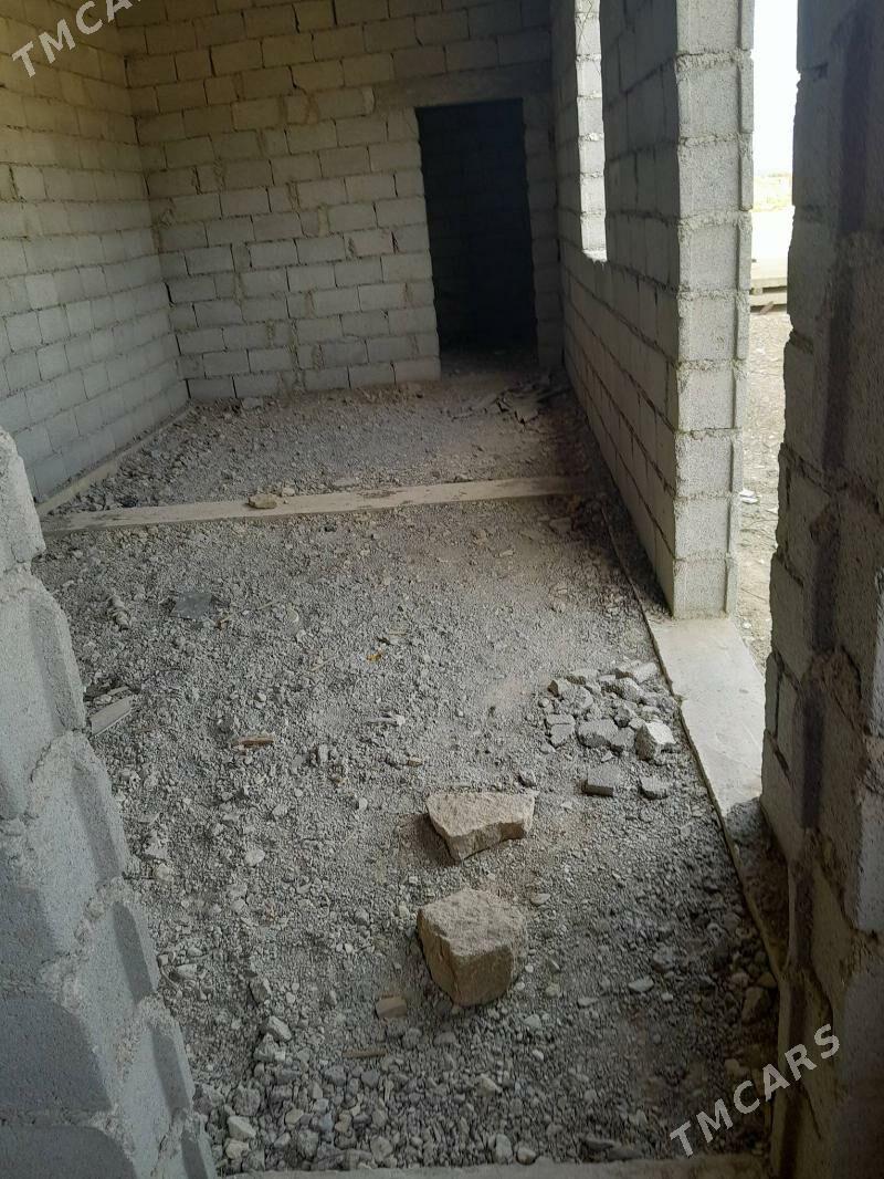 Arcman jay - Bäherden - img 2