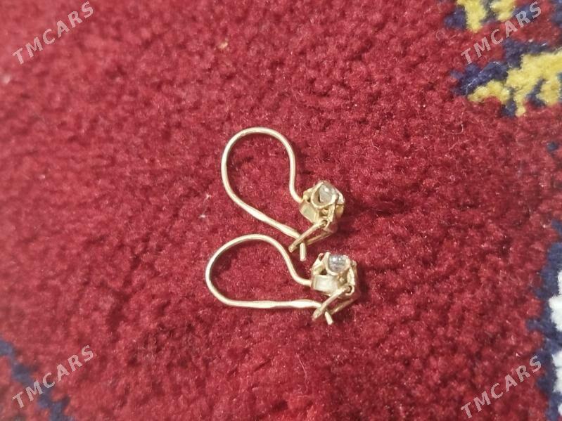 Caga gulakhalka - Aşgabat - img 4