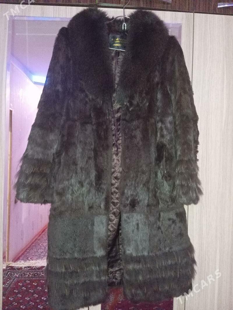 Şuba🧥 - Mary - img 1