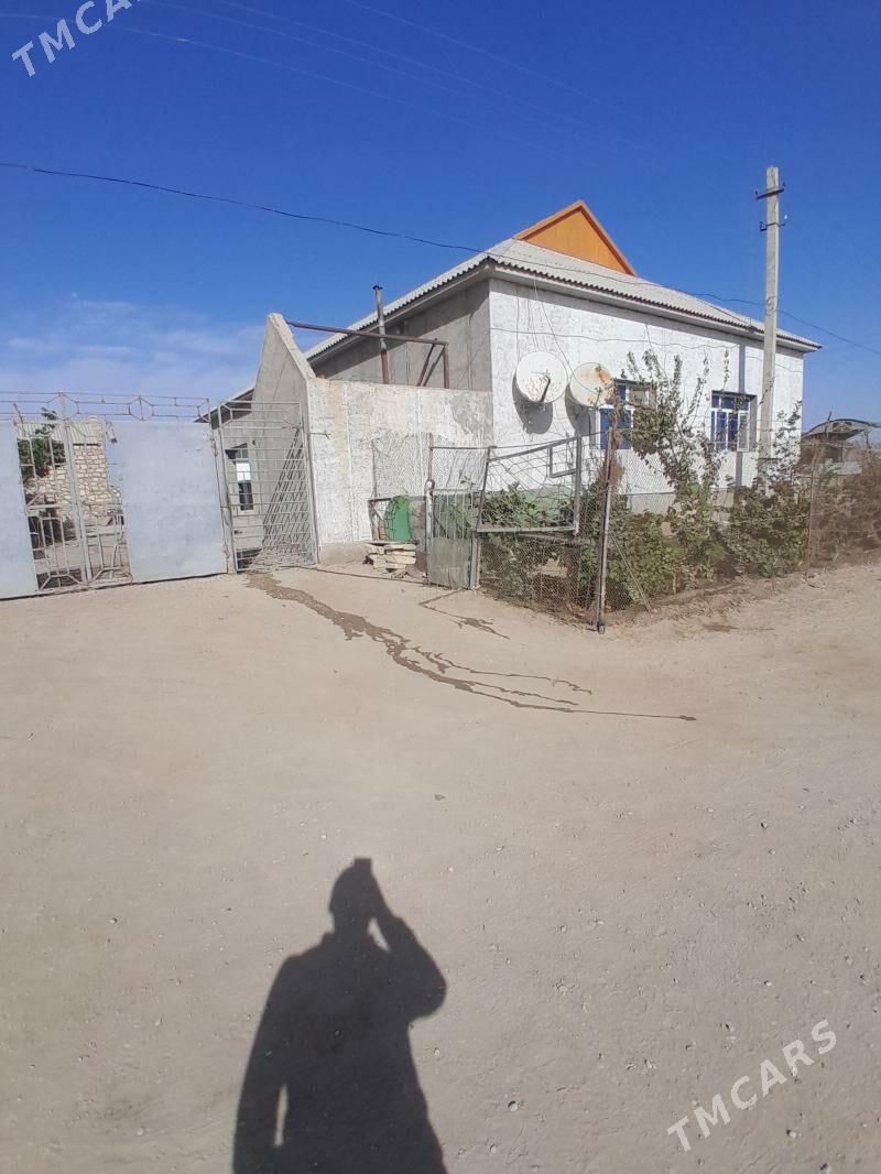 satlyk jay jebelde - Jebel - img 6