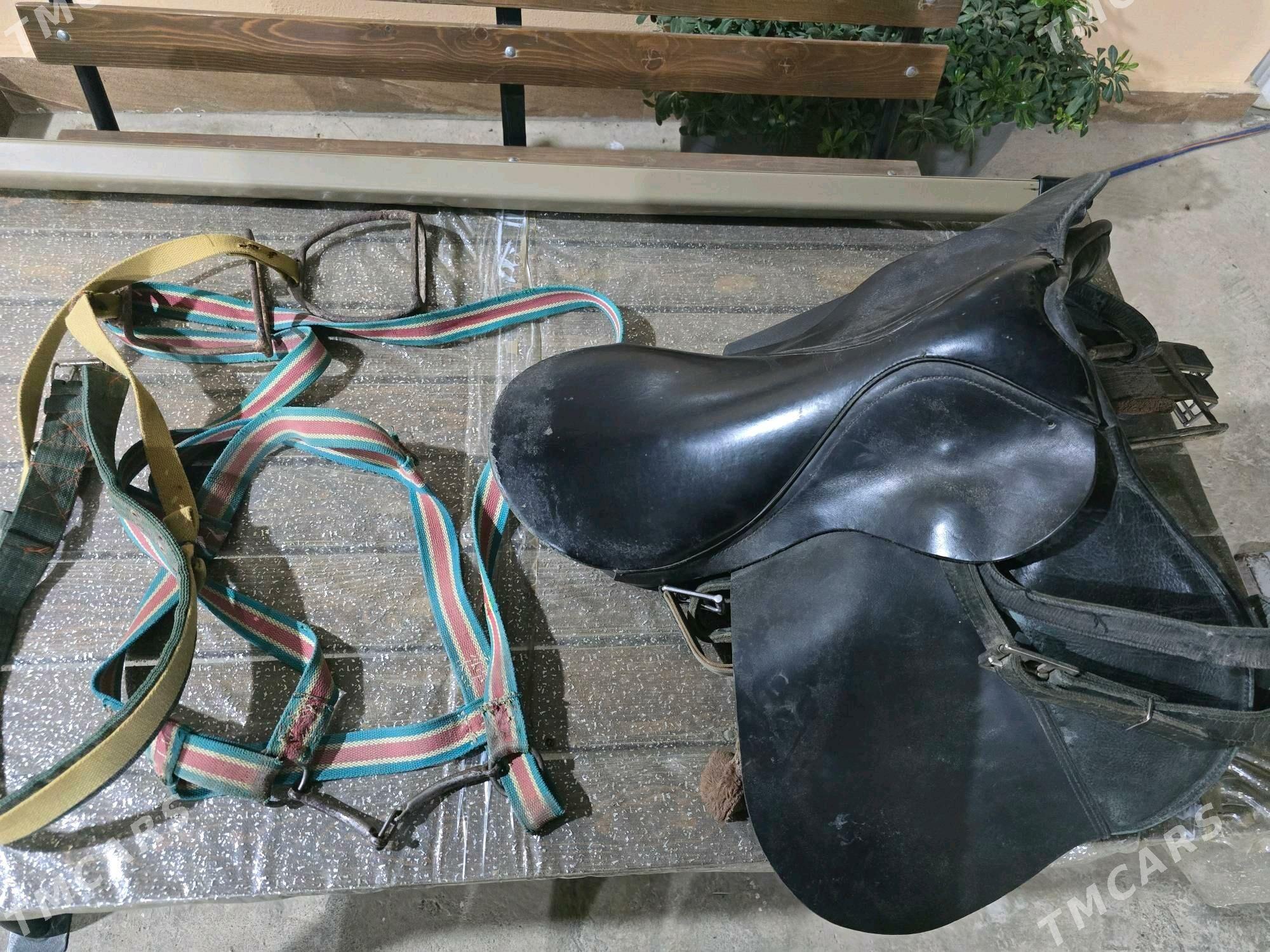 eyer - Aşgabat - img 5