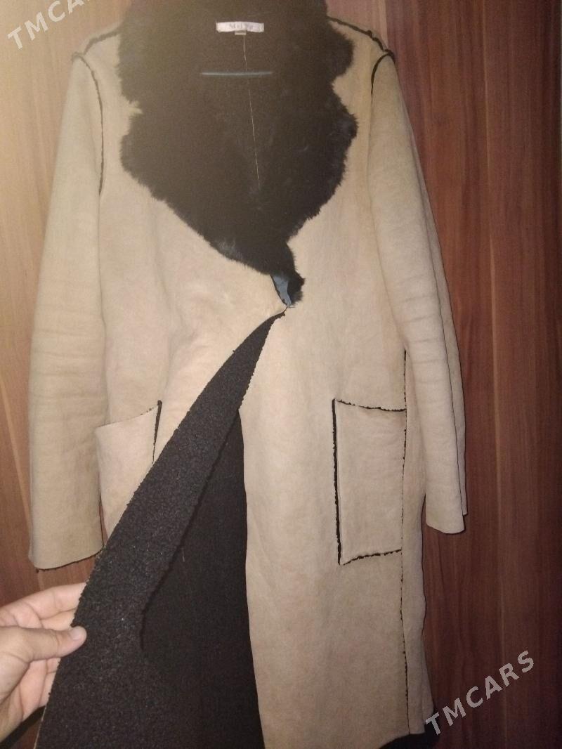 Palto - Теджен - img 1