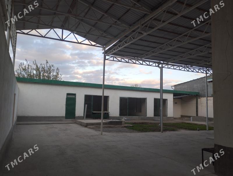 Katež jaý - Теджен - img 3