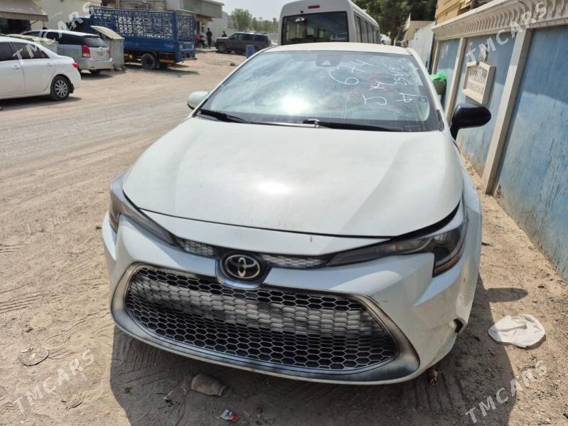 Toyota Corolla 2021 - 255 000 TMT - Balkanabat - img 3