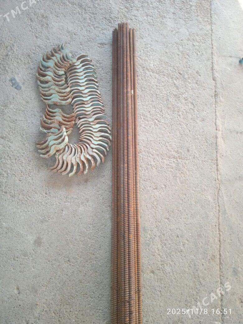 Taýrot - Ak bugdaý etraby - img 1