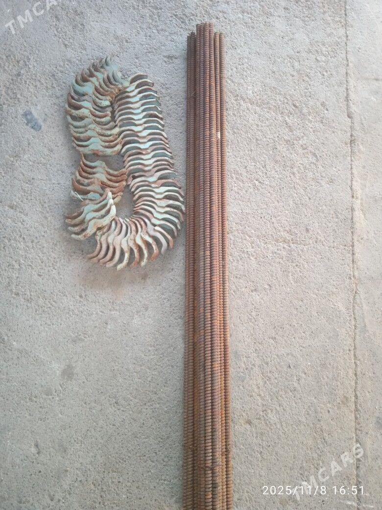 Taýrot - Ak bugdaý etraby - img 3