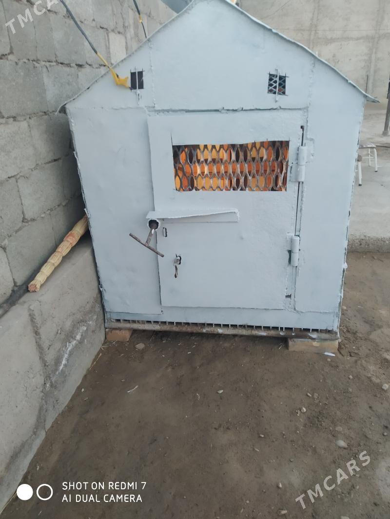 ketek - Джебел - img 2