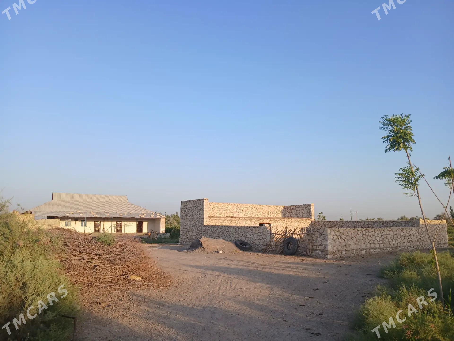 plan jaŷ - Достлук - img 2