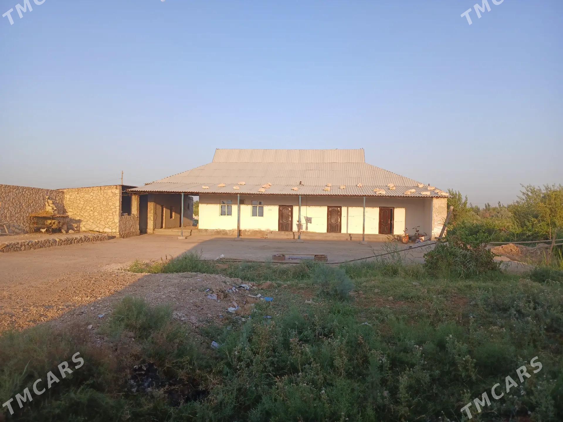 plan jaŷ - Достлук - img 3