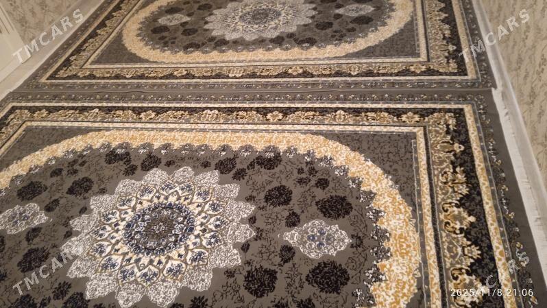 haly - Jebel - img 3