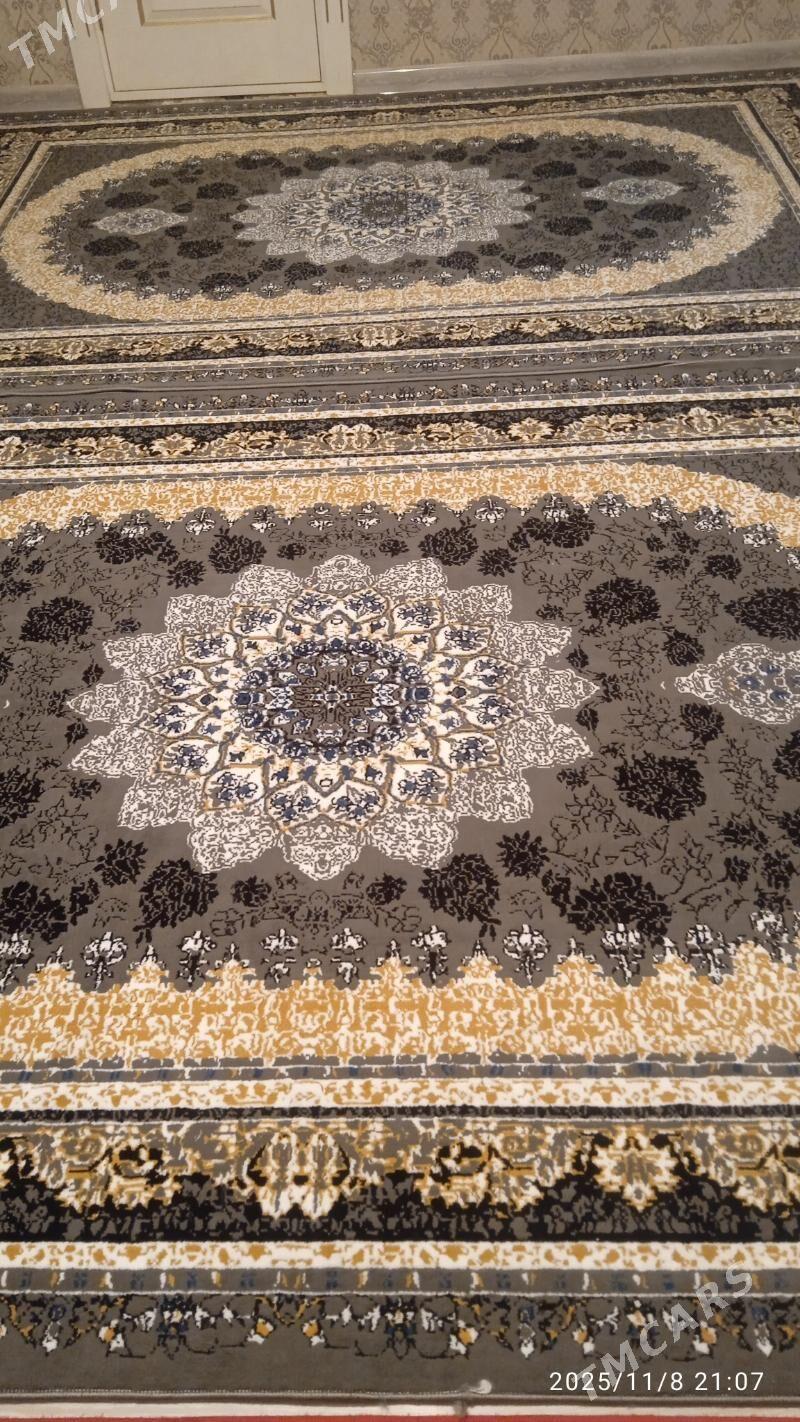 haly - Jebel - img 1