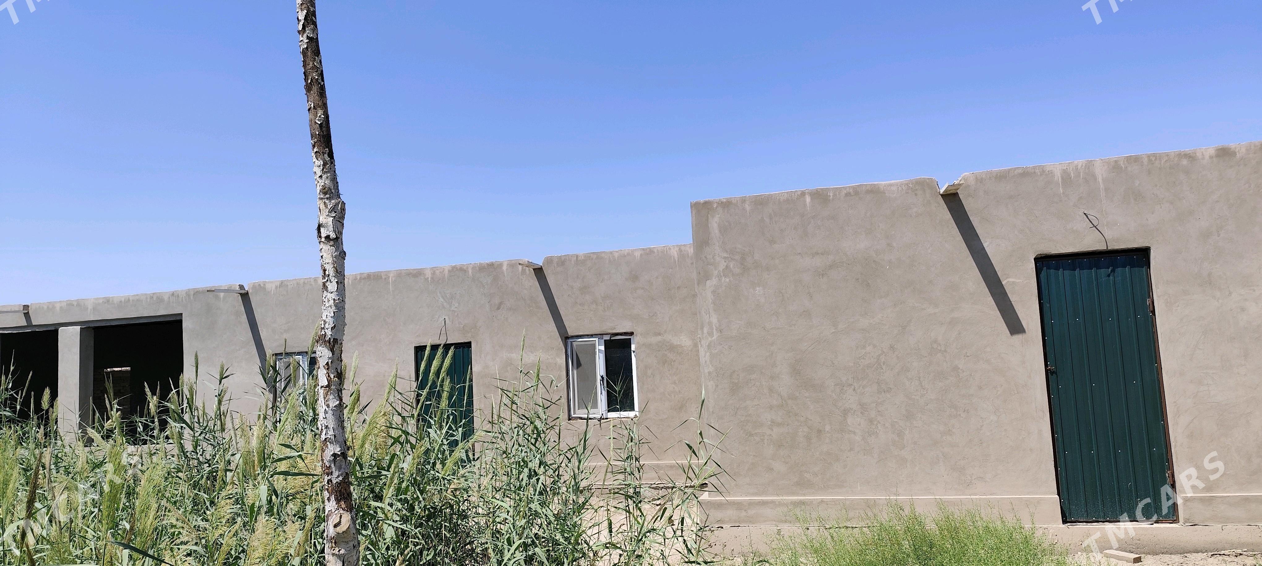 учаска. жай. Чанг  базар тара. - Дашогуз - img 3