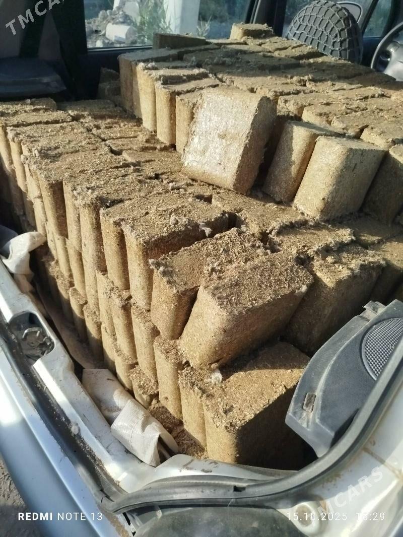 mal goyun iym - Дашогуз - img 3