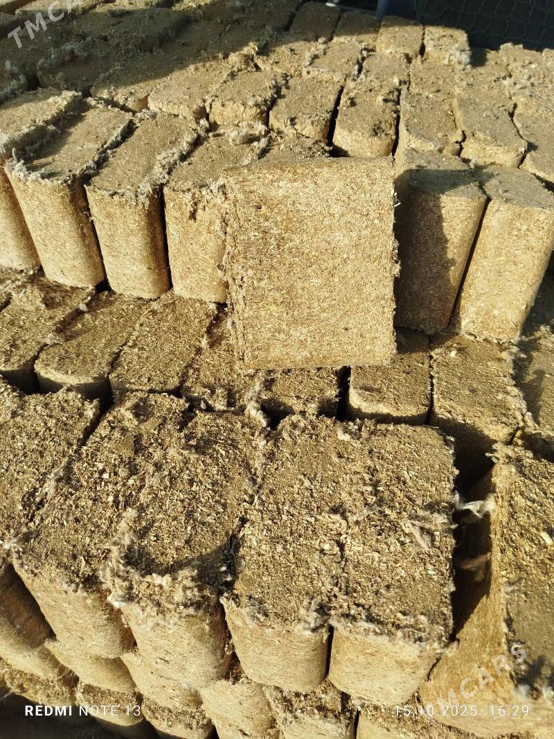 mal goyun iym - Дашогуз - img 1