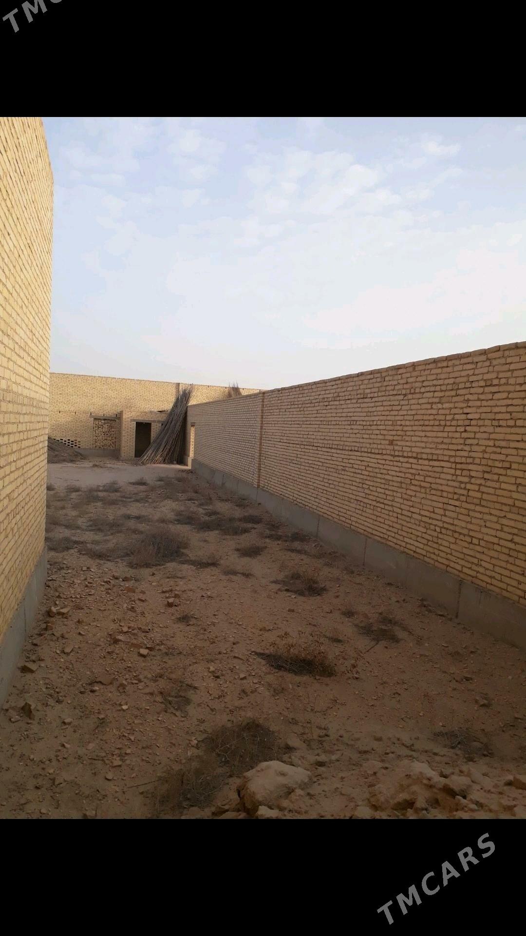 Satlyk jay - Саят - img 2